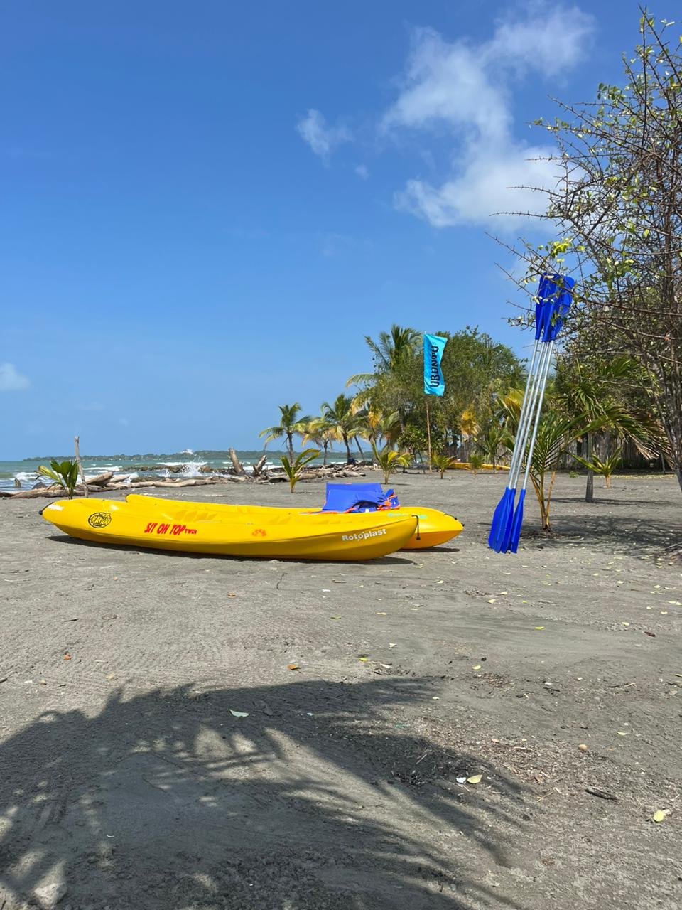 Kayaks